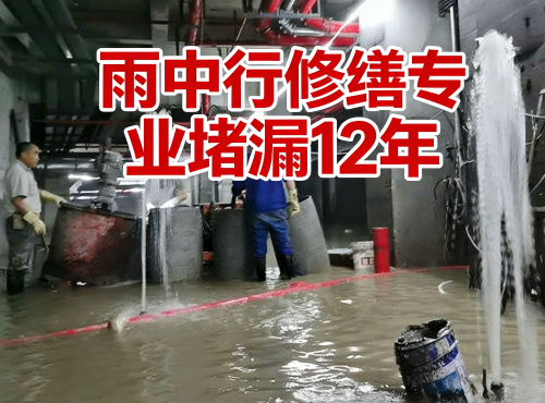 酉阳地下室防水堵漏案例